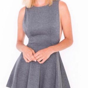 American Apparel Skater Dress